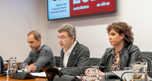 Comparecencia del Defensor ante la Comisión de Régimen Foral